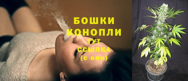дмт Белокуриха