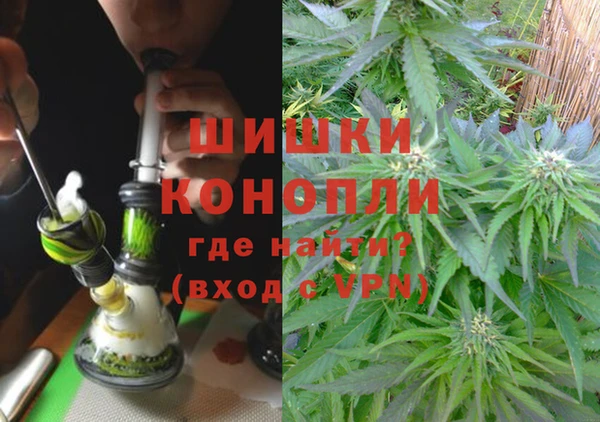 дмт Белокуриха